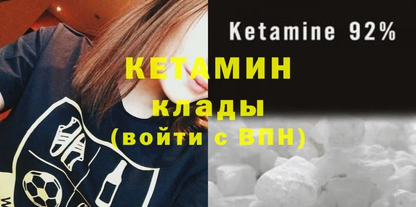 прущие грибы Инта