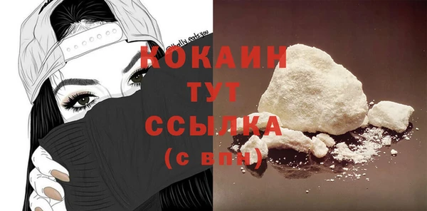 прущие грибы Инта