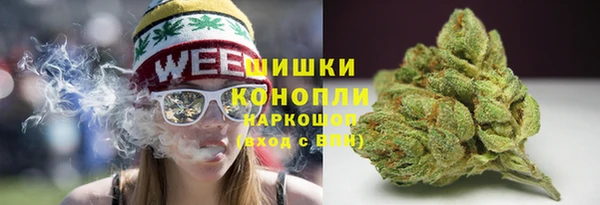 прущая мука Инсар