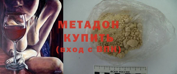 прущие грибы Инта