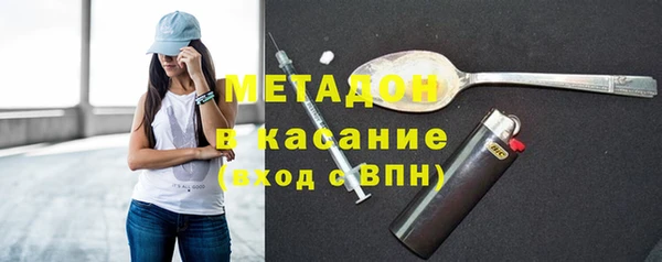 прущие грибы Инта