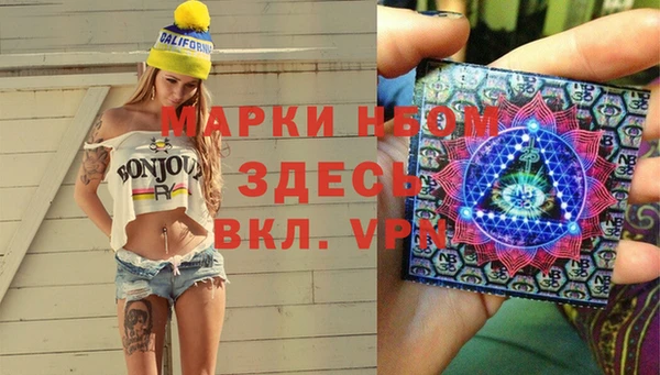 прущие грибы Инта
