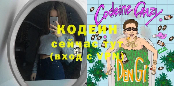прущие грибы Инта