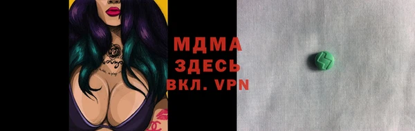прущие грибы Инта