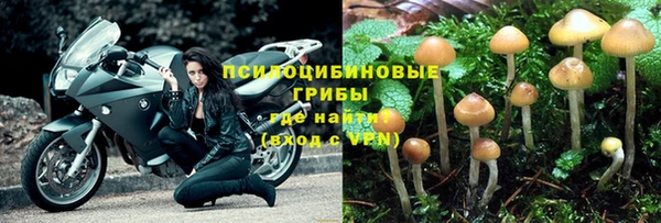прущая мука Инсар