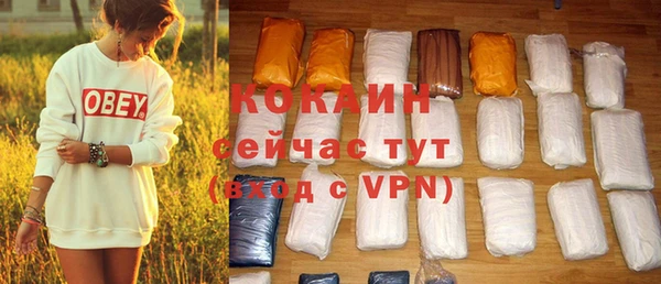 прущие грибы Инта