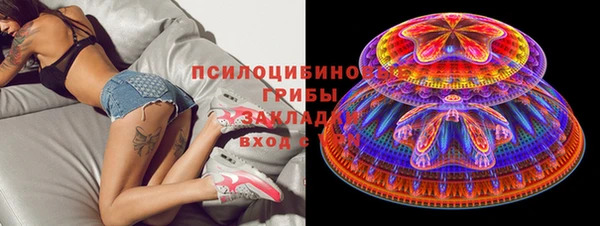 прущие грибы Инта