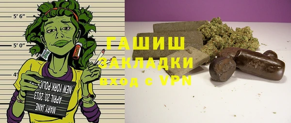 прущие грибы Инта