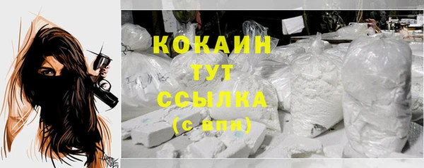 прущая мука Инсар
