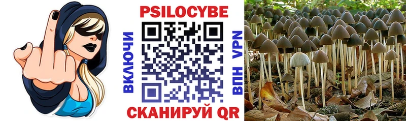 Купить где  Курчатов  Псилоцибиновые грибы прущие грибы 